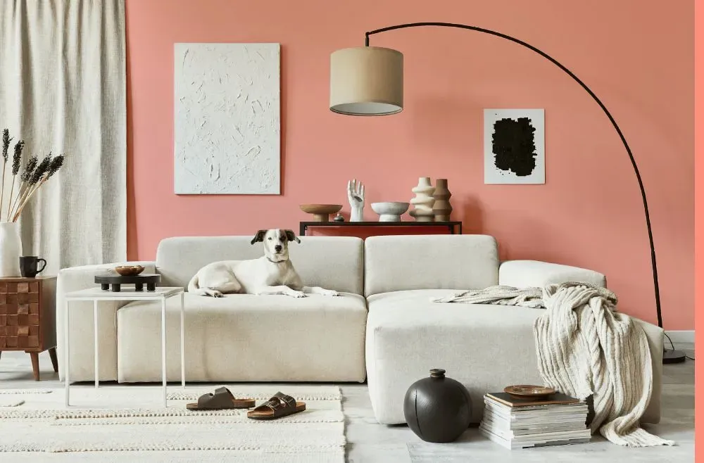 Benjamin Moore Pink Paradise cozy living room