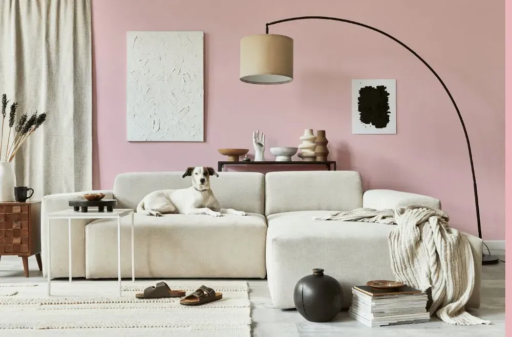 Benjamin Moore Pink Pearl cozy living room