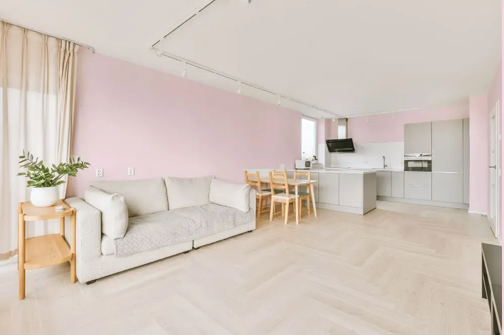 Benjamin Moore Pink Peony living room interior