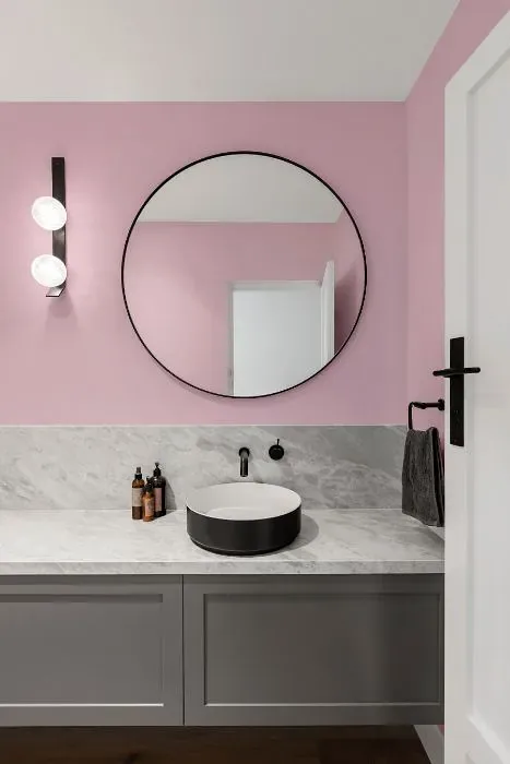 Benjamin Moore Pink Petals minimalist bathroom