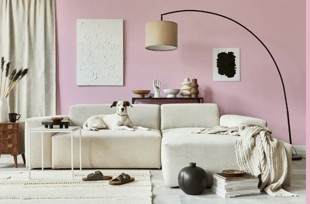 Benjamin Moore Pink Petals cozy living room