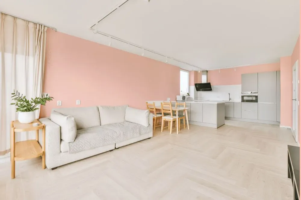 Benjamin Moore Pink Powderpuff living room interior