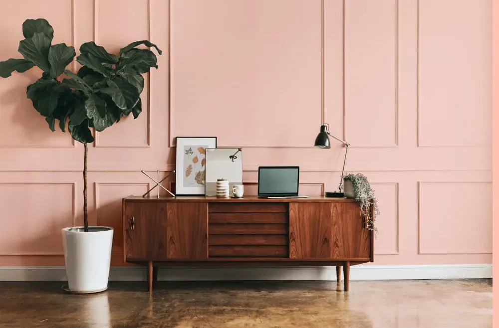 Benjamin Moore Pink Powderpuff modern interior