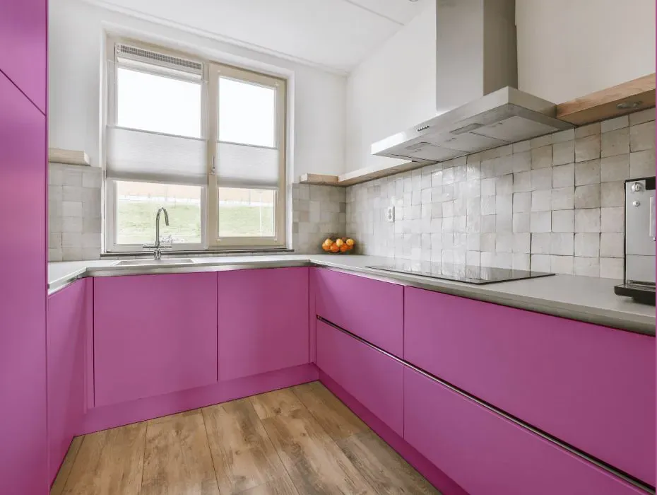 Benjamin Moore Pink Raspberry small kitchen cabinets