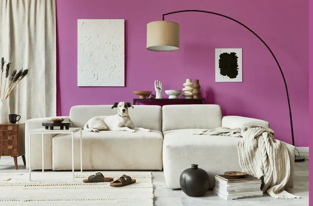 Benjamin Moore Pink Raspberry cozy living room