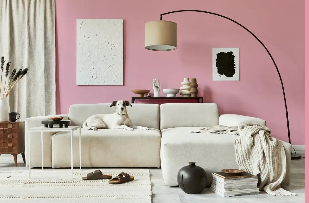 Benjamin Moore Pink Ruffle cozy living room
