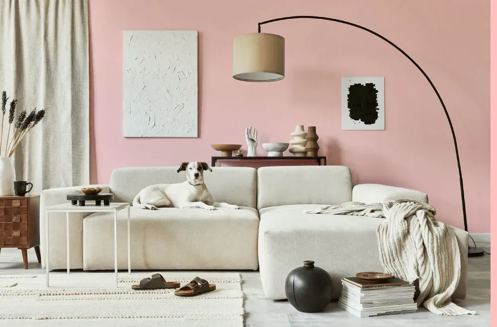 Benjamin Moore Pink Sea Shell cozy living room