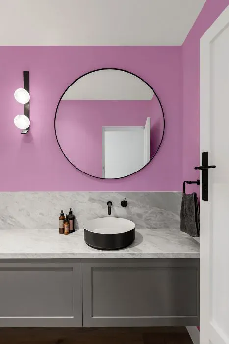 Benjamin Moore Pink Taffy minimalist bathroom