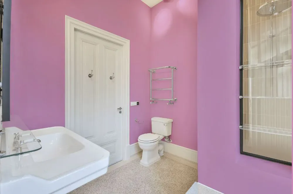 Benjamin Moore Pink Taffy bathroom
