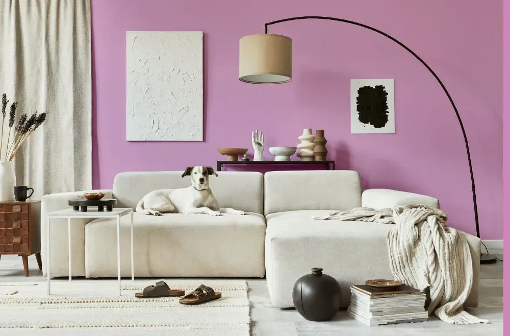 Benjamin Moore Pink Taffy cozy living room