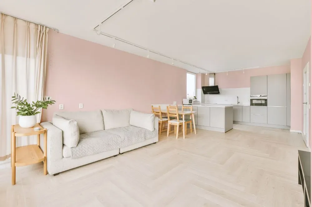 Benjamin Moore Playful Pink living room interior