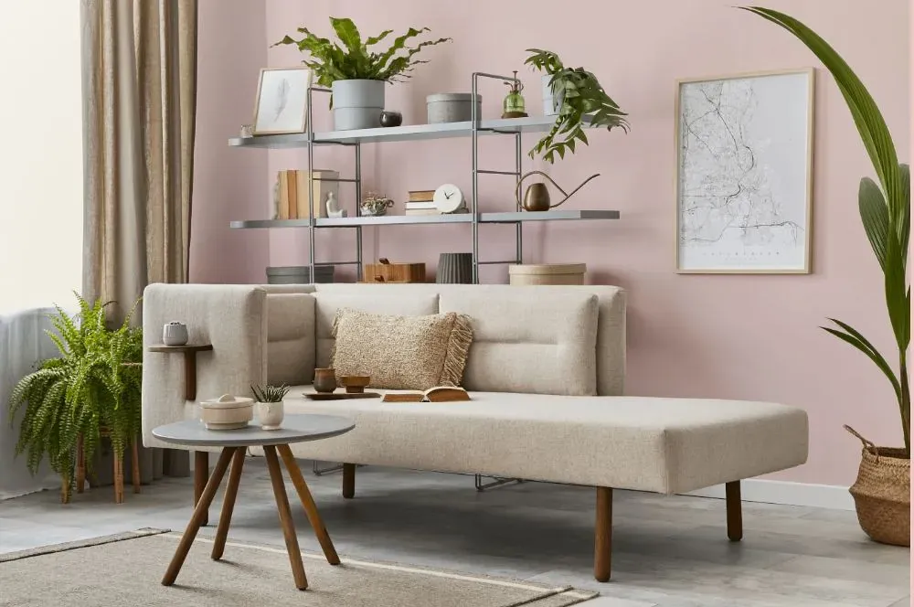 Benjamin Moore Playful Pink living room