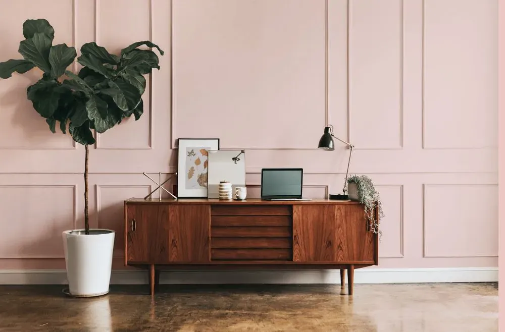 Benjamin Moore Playful Pink modern interior