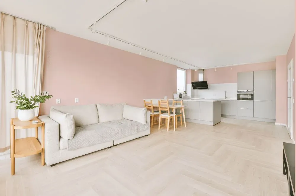 Benjamin Moore Pleasant Pink living room interior