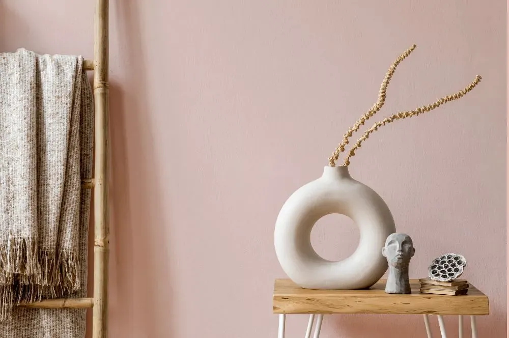 Benjamin Moore Pleasant Pink wall