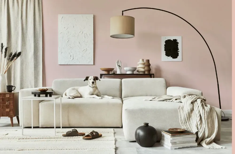 Benjamin Moore Pleasant Pink cozy living room