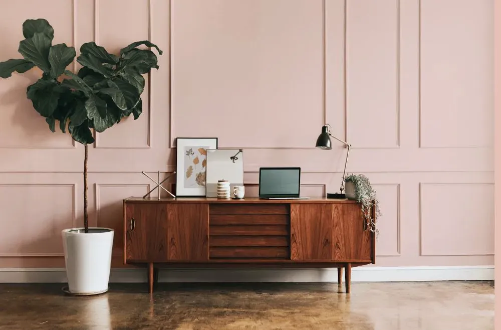 Benjamin Moore Pleasant Pink modern interior