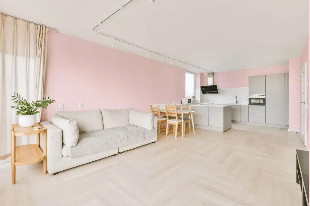 Benjamin Moore Pleasing Pink living room interior