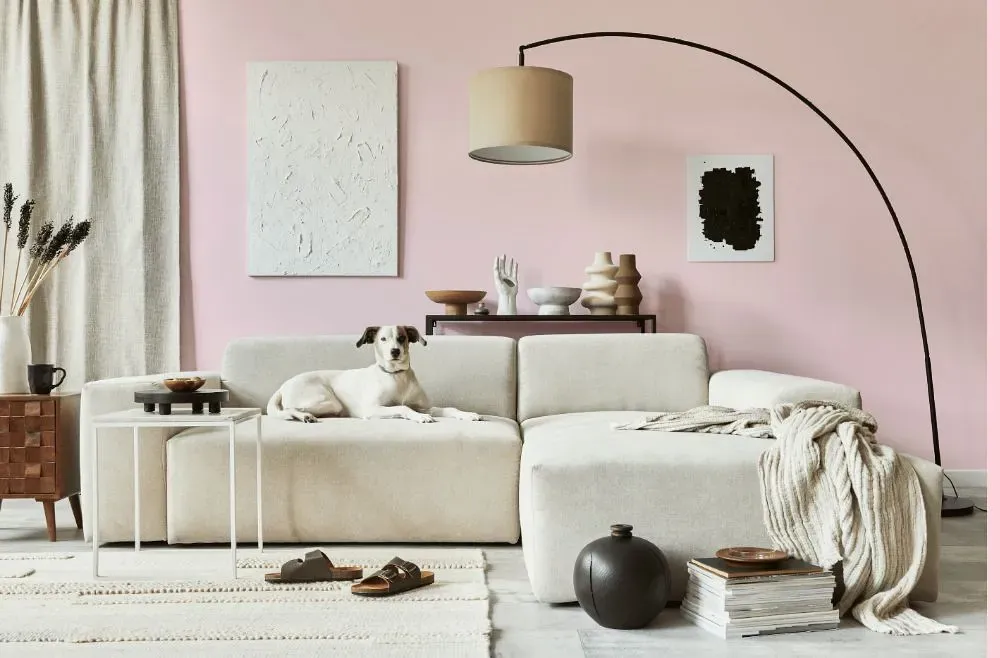 Benjamin Moore Pleasing Pink cozy living room
