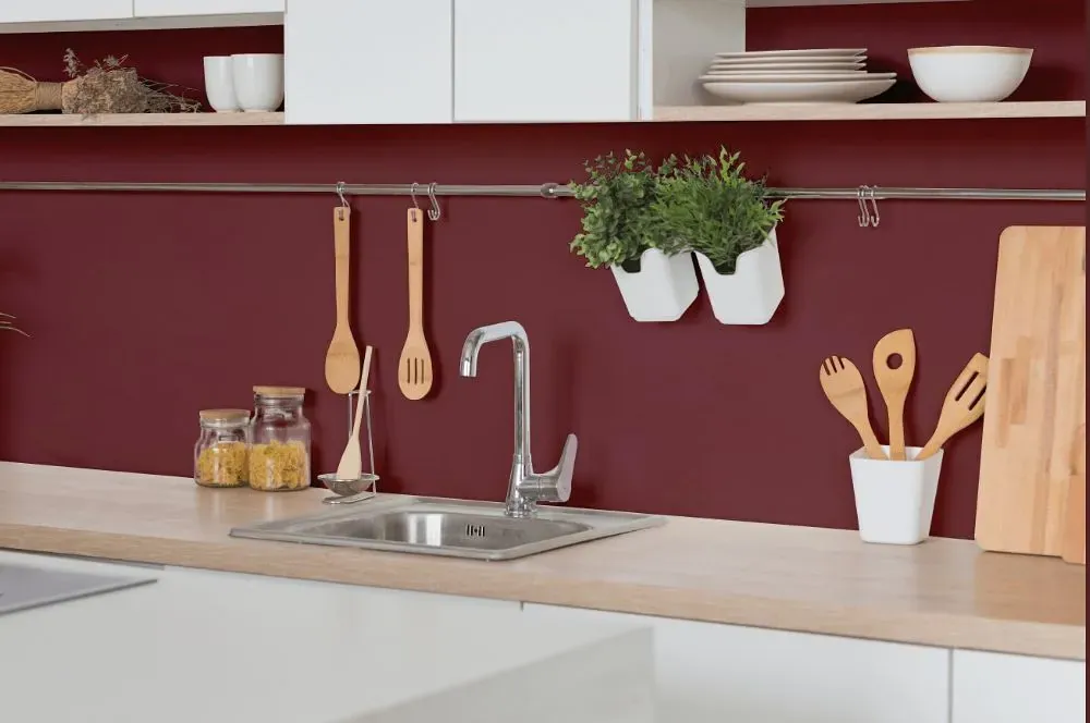 Benjamin Moore Plum Raisin kitchen backsplash