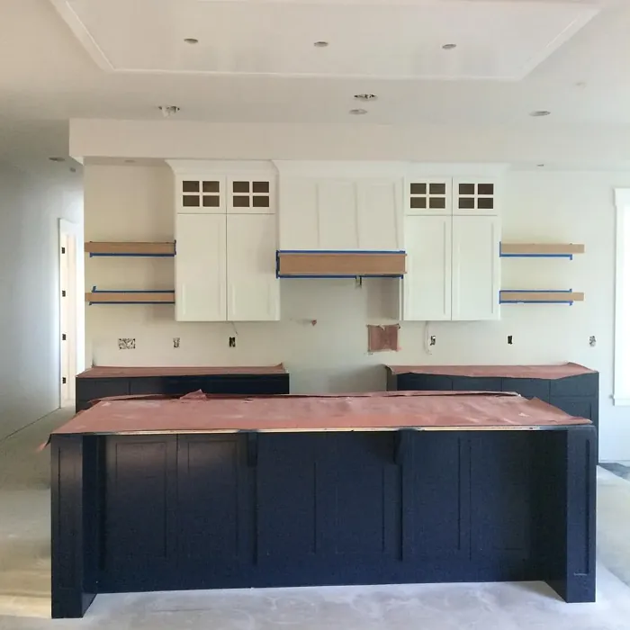 Benjamin Moore Polo Blue kitchen cabinets color