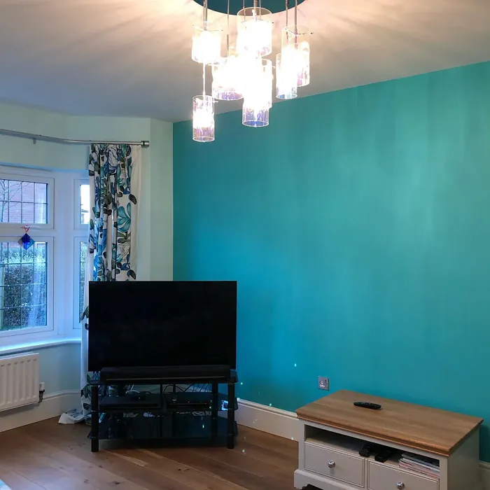 2048-40 Living Room Accent Wall