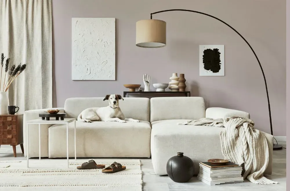 Benjamin Moore Porcelain cozy living room