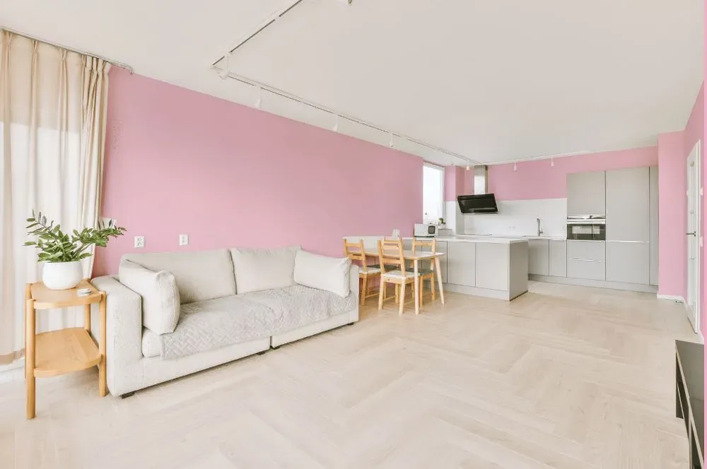 Benjamin Moore Posy Pink living room interior