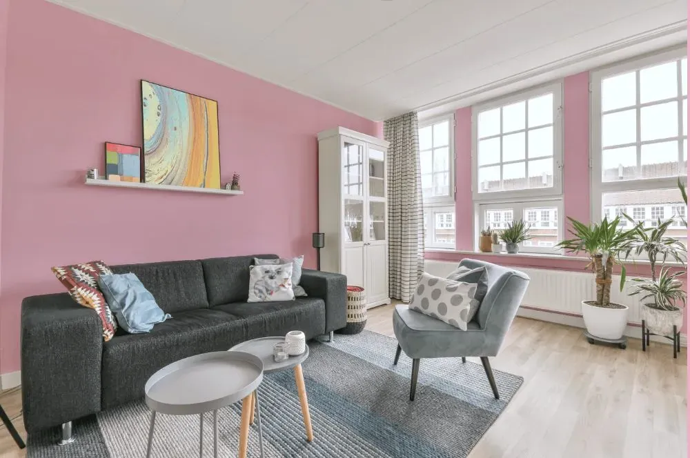 Benjamin Moore Posy Pink living room walls