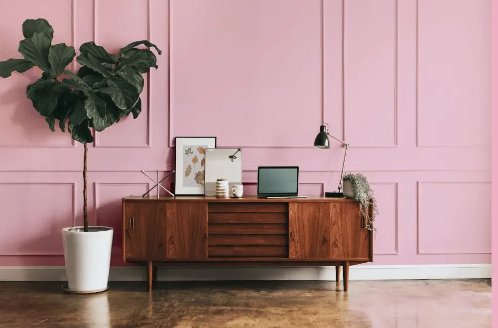 Benjamin Moore Posy Pink modern interior