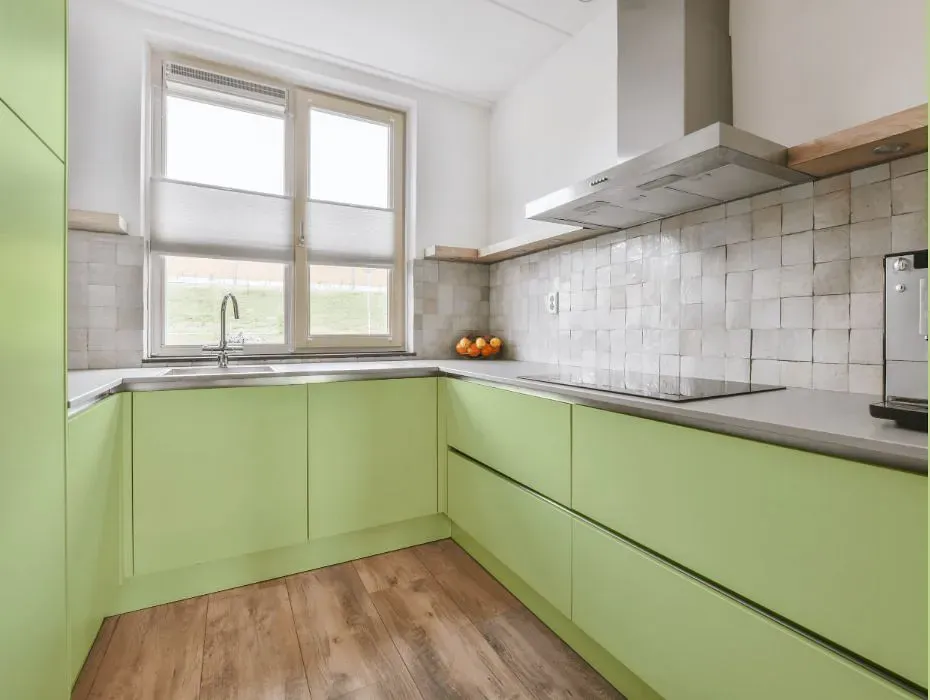 Benjamin Moore Potpourri Green small kitchen cabinets
