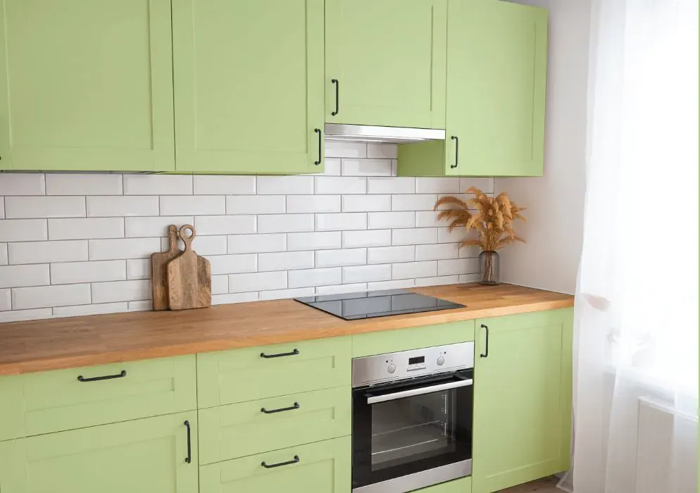 Benjamin Moore Potpourri Green kitchen cabinets