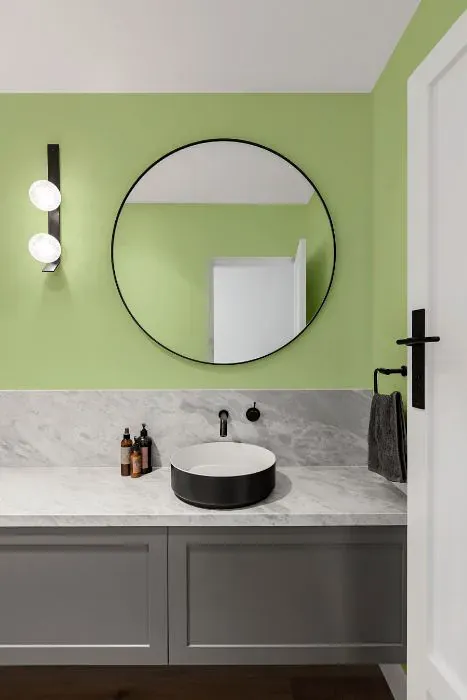 Benjamin Moore Potpourri Green minimalist bathroom