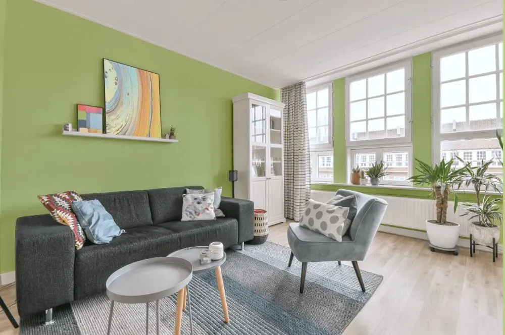 Benjamin Moore Potpourri Green living room walls