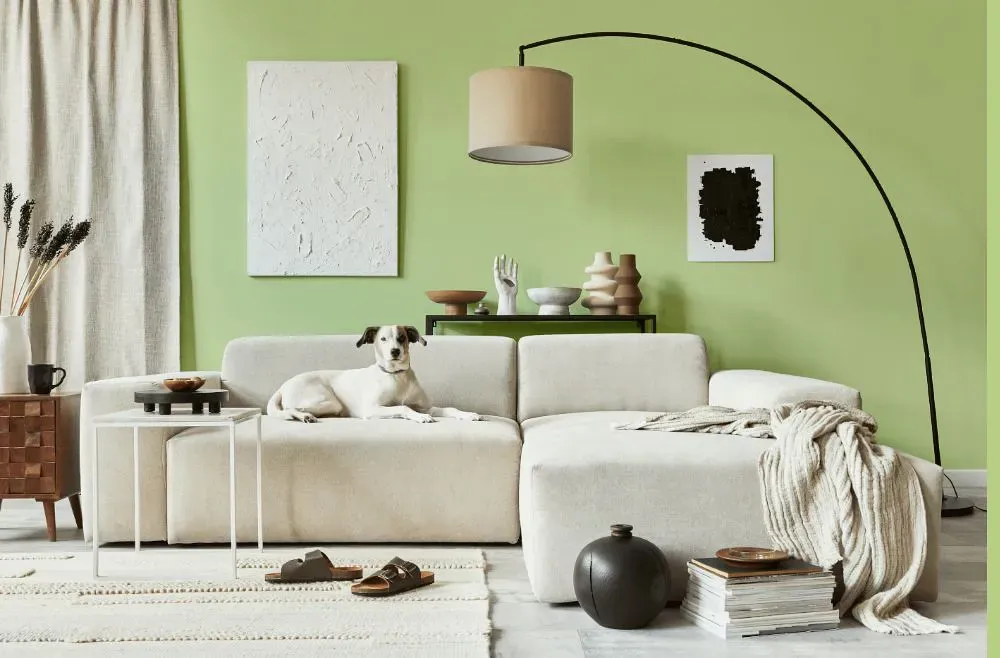 Benjamin Moore Potpourri Green cozy living room