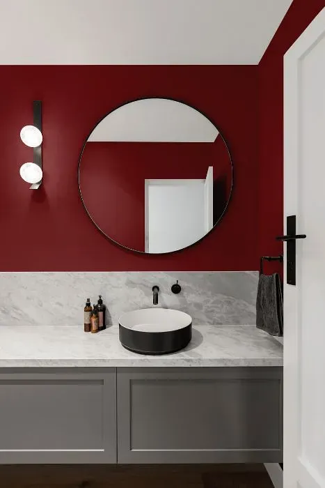 Benjamin Moore Pottery Red minimalist bathroom