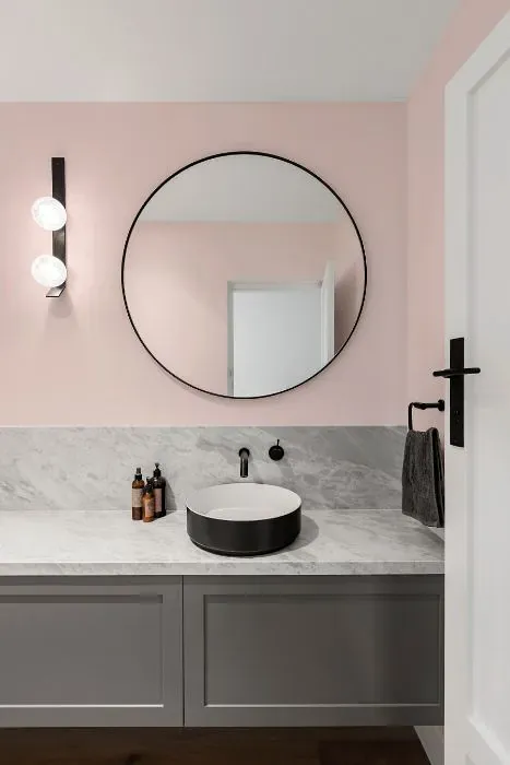 Benjamin Moore Powder Pink minimalist bathroom