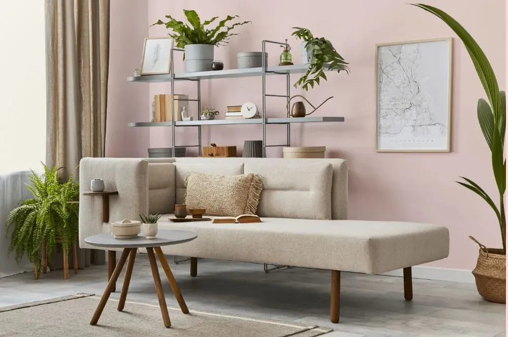 Benjamin Moore Powder Pink living room