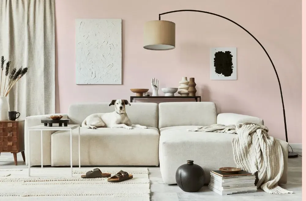 Benjamin Moore Powder Pink cozy living room