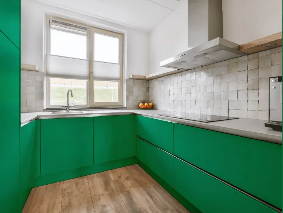 Benjamin Moore Prairie Green small kitchen cabinets
