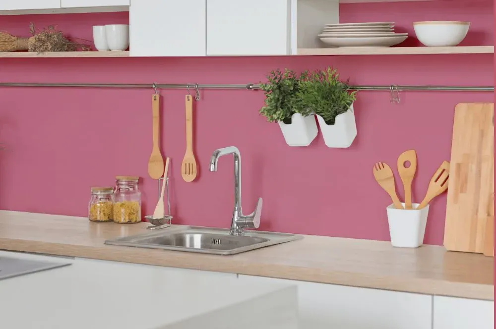 Benjamin Moore Precious Pink kitchen backsplash