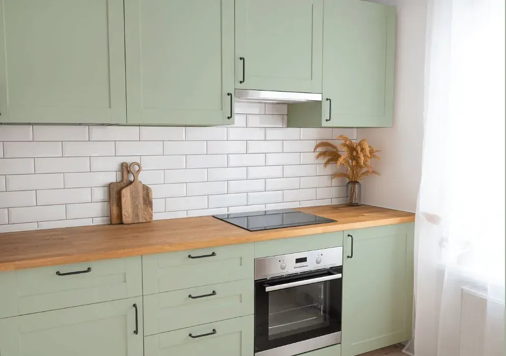 Benjamin Moore Prescott Green kitchen cabinets