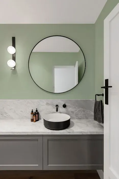 Benjamin Moore Prescott Green minimalist bathroom