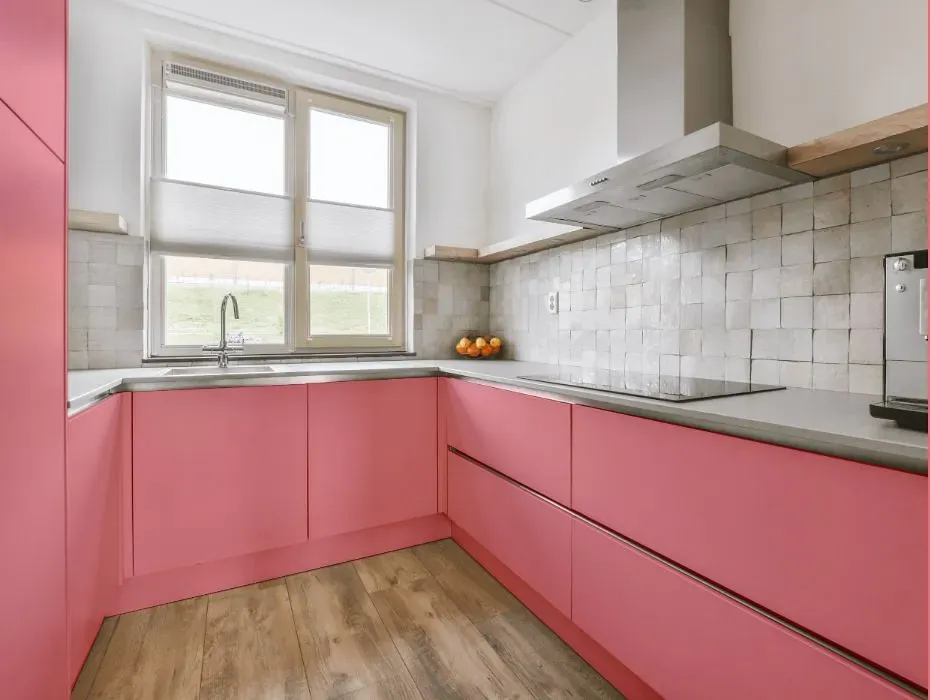 Benjamin Moore Pretty in Pink small kitchen cabinets