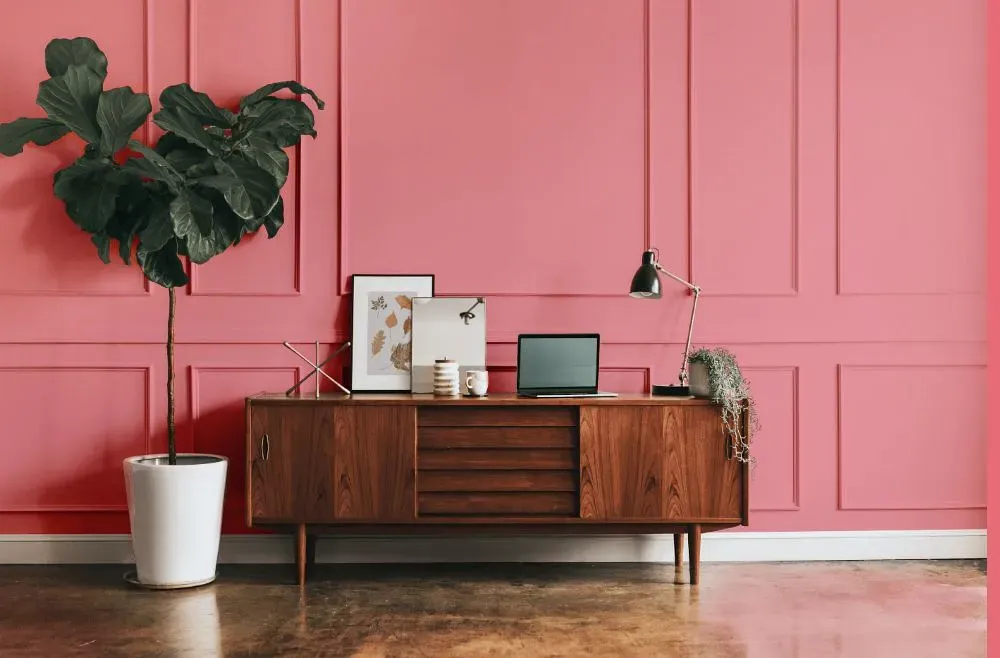 Benjamin Moore Pretty in Pink modern interior