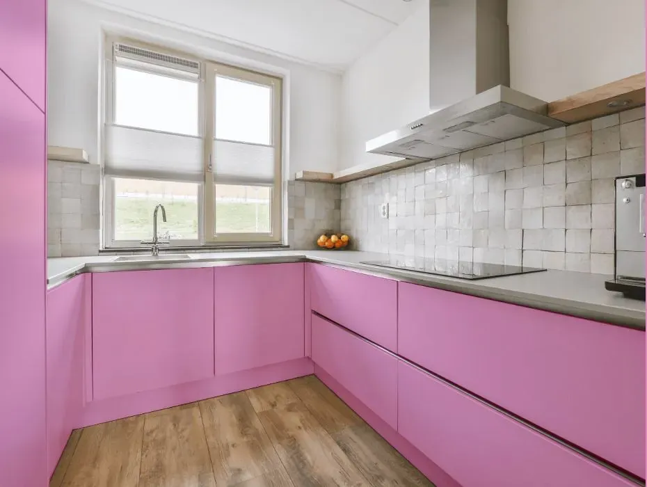 Benjamin Moore Pretty Pink small kitchen cabinets