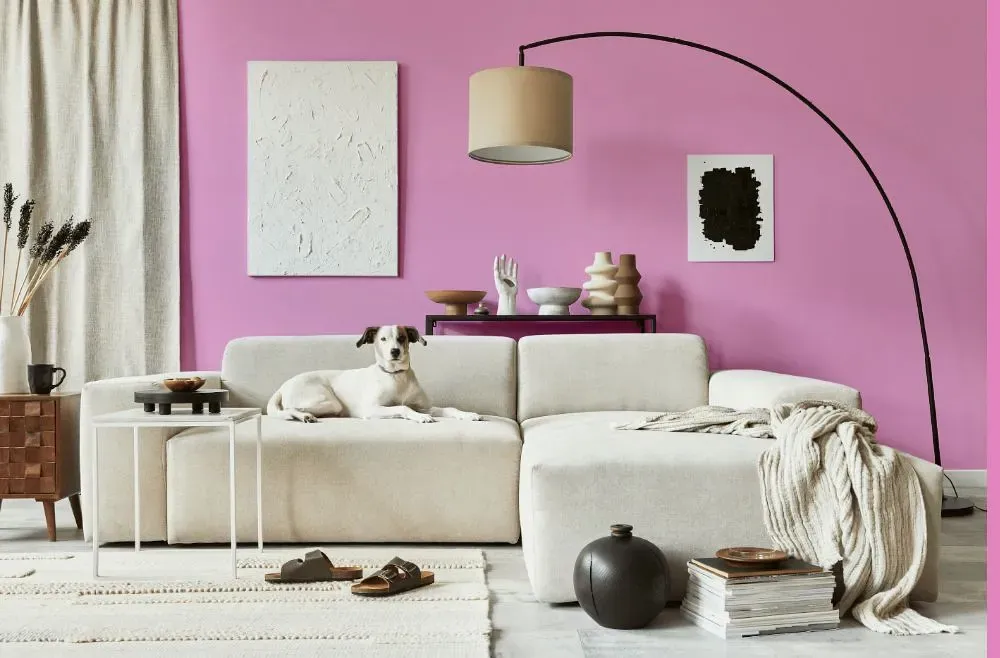 Benjamin Moore Pretty Pink cozy living room