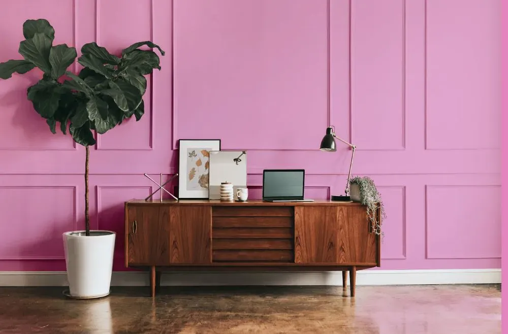 Benjamin Moore Pretty Pink modern interior