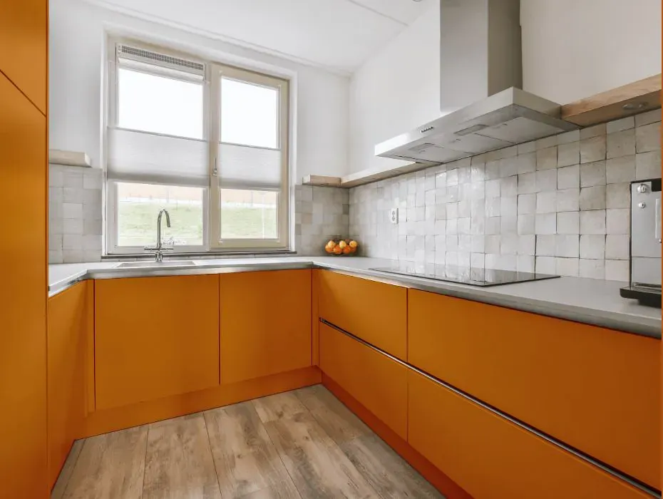 Benjamin Moore Pumpkin Blush small kitchen cabinets