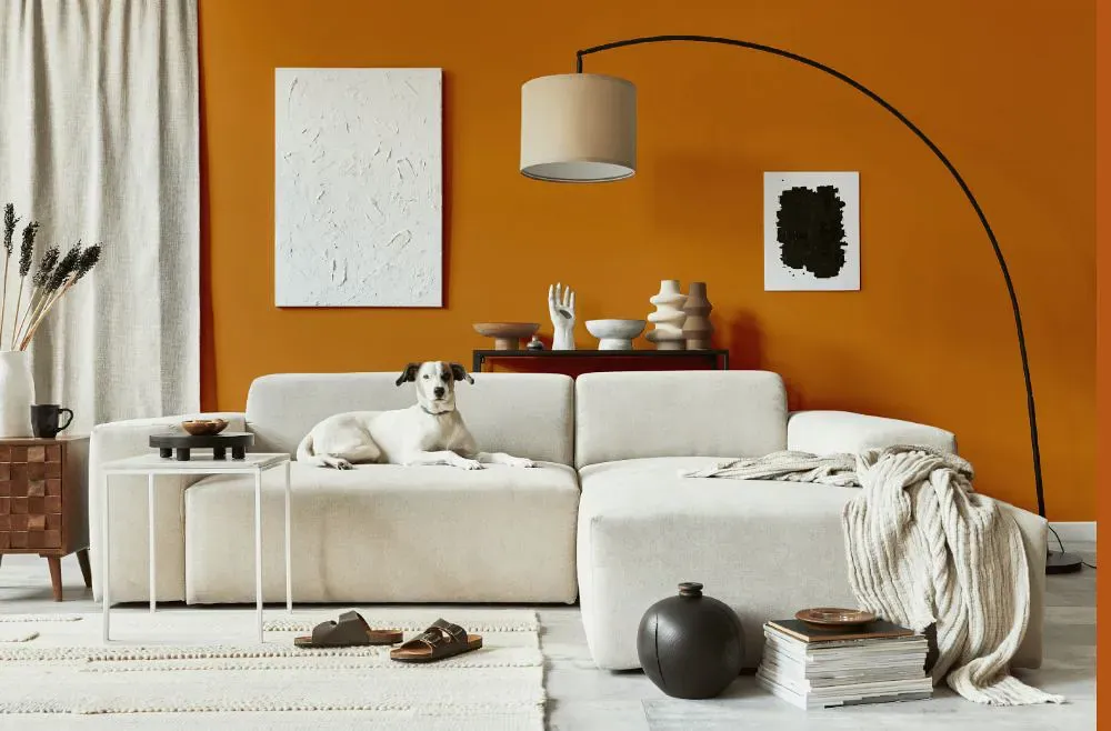 Benjamin Moore Pumpkin Blush cozy living room